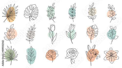 Collection of minimalist botanical line art drawings featuring various leaves and flowers with soft pastel color blobs on white background.