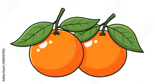 Two Oranges With Green Leaves On White Background