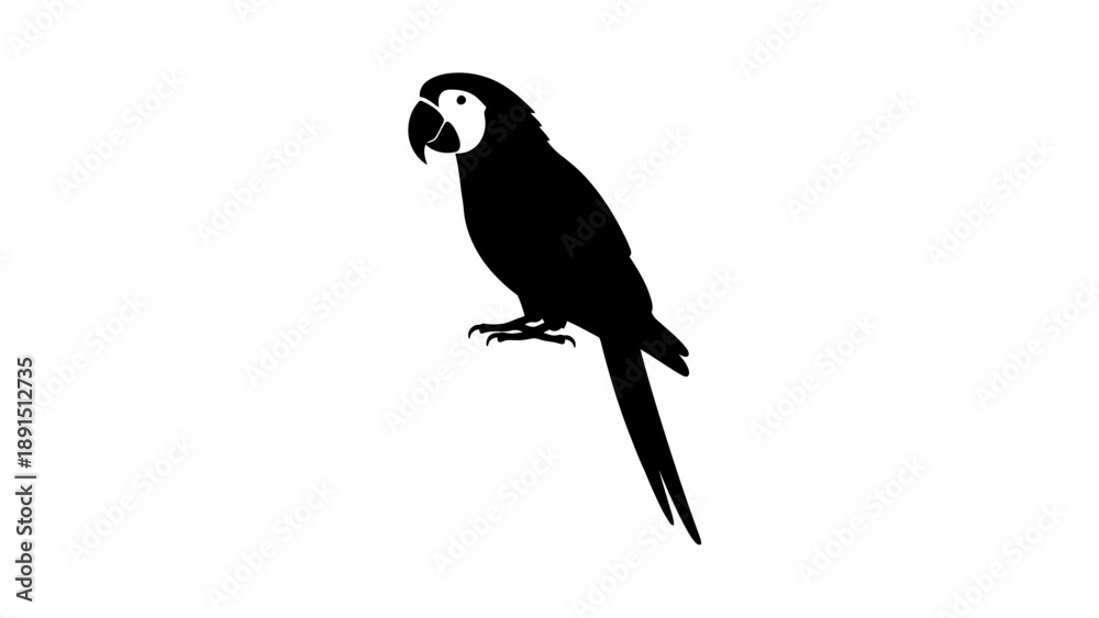 Obraz premium Silhouette of a Parrot Perched on a Branch.