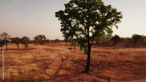 Aerial Drone View of Rural Talensi District Landscape with Dry Savanna and Farmland, Northern Ghana