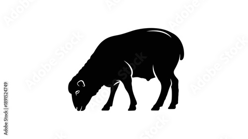Silhouette of a Sheep Grazing on White Background.
