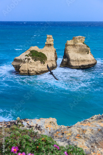 Vászonkép Glimpse of the sea stack Due Sorelle (Two Sisters) on the Torre dell'Orso Bay in Apulia, Italy
