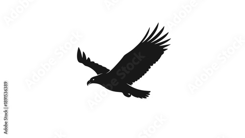 Silhouette of an eagle soaring through the sky.
