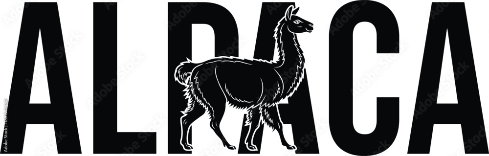 Obraz premium Adorable Alpaca Illustration, Animal Portrait, Farm Livestock, Camelid Design, Cute Creature Graphic