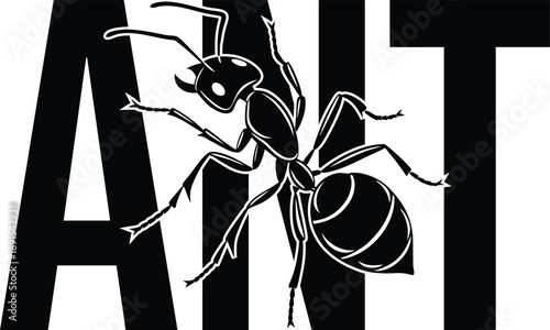 Aardvark Illustration, Wildlife Portrait, Animal Design, Mammal Artwork, Monochrome Graphic