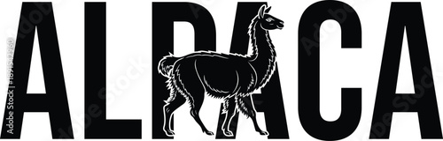 Adorable Alpaca Illustration, Animal Portrait, Farm Livestock, Camelid Design, Cute Creature Graphic