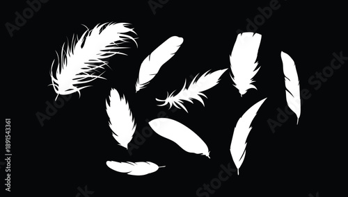 Set of elegant white feather silhouettes isolated on a deep black background, minimal artistic design ideal for modern decor, branding, tattoo inspiration, wallpapers, prints, and creative graphic