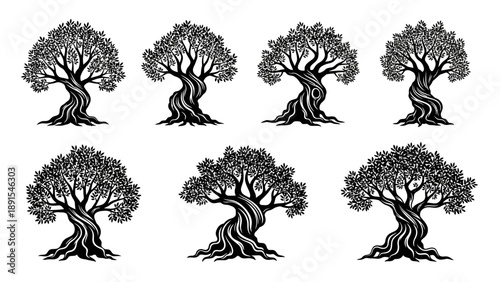 Set of stylized ancient olive trees, black and white graphic illustration
