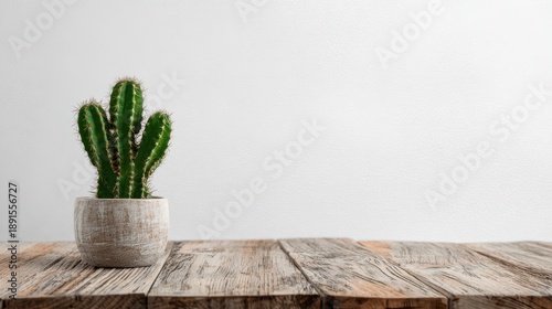 Rustic Wooden Table with Cactus Plant on Blank White Wall Background for Minimalist Home Decor and Interior Design Inspiration