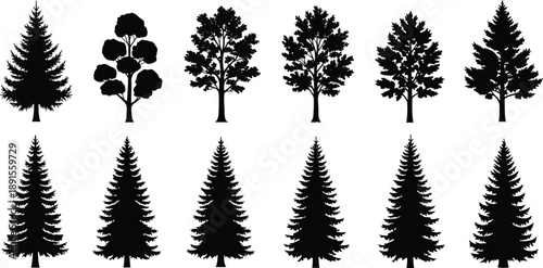 Tree silhouette vector set featuring pine fir spruce and deciduous forest icons isolated on white background illustration for stock design
