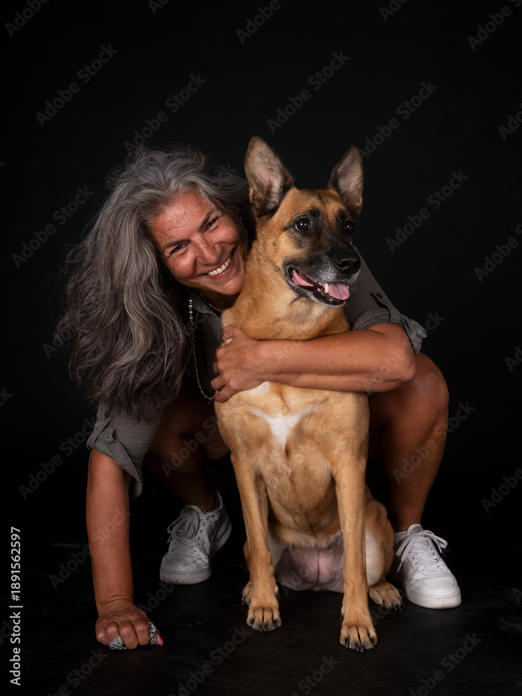 Obraz premium malinois in studio