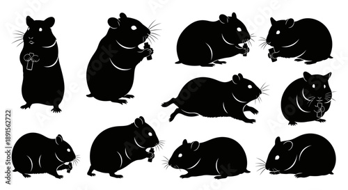 Collection of black hamster silhouettes in various poses,