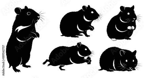Collection of black hamster silhouettes in various poses,