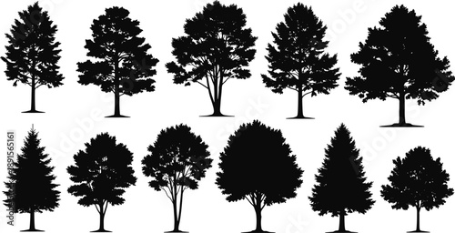 Black silhouettes of various trees on white background tree, silhouette, black, white, background, nature, landscape, plants, foliage, forest, trees, deciduous, evergreen, coniferous, leafy, branches,