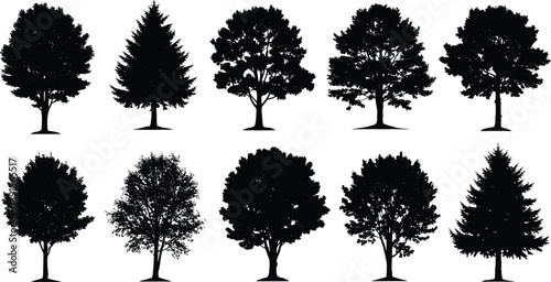 Black silhouettes of various trees on white background tree, silhouette, black, white, background, nature, landscape, symbol, deciduous, evergreen, conifer, leafy, plants, outdoors, forest, park, silh