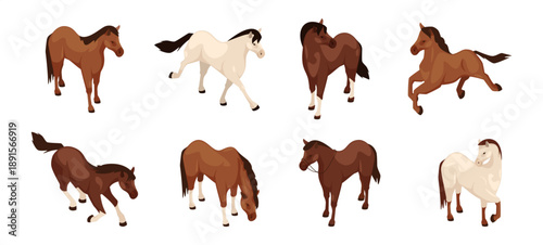 Horses of different breeds standing and galloping. Vector isolated set of stallions or mares. Isometric mammals for race and competition. Movement, diversity and equestrian activity