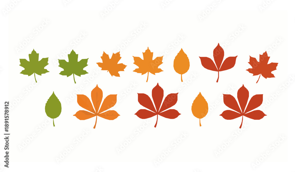 Fototapeta premium Autumn maple and chestnut leaves vector set in green orange and red isolated on white