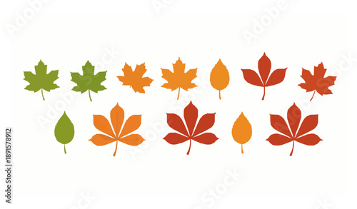 Autumn maple and chestnut leaves vector set in green orange and red isolated on white