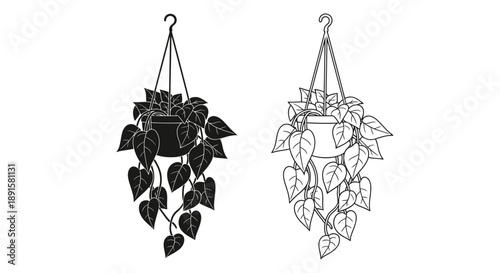 Two hanging plant illustrations in black and white line art style