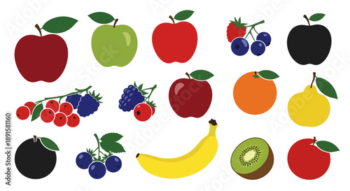 Colorful collection of various fruits arranged on a white background