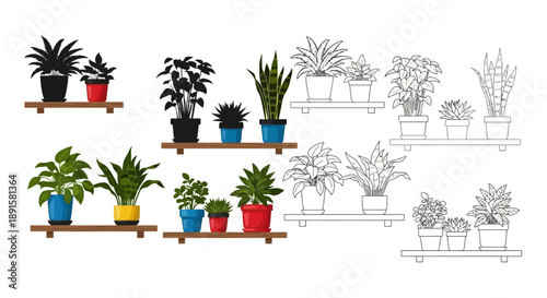 A collection of potted plants displayed on multiple wooden and white shelves
