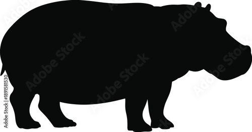 Hippopotamus silhouette illustration, wild African animal vector icon, large mammal wildlife design, zoo safari symbol isolated on white background