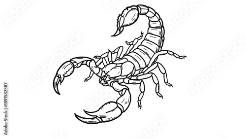 A minimalist vector graphic illustration of a scorpion in a defensive posture