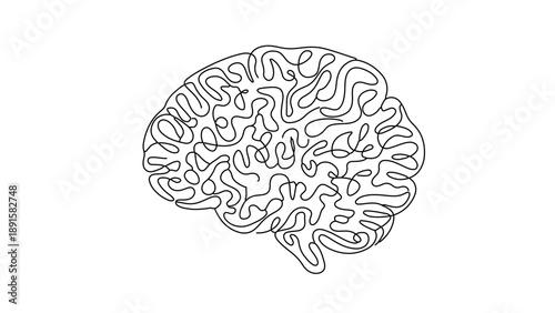 A detailed line art illustration of a human brain in a simple and elegant style