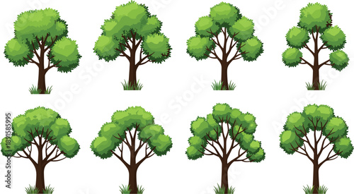 Set of green cartoon trees with different shapes, leafy foliage and trunks, nature forest vector illustration isolated on white background for design use