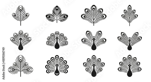 Elegant collection of stylized peacock feather illustrations, featuring intricate patterns and graceful shapes, ideal for luxurious graphic design and sophisticated decorative art projects