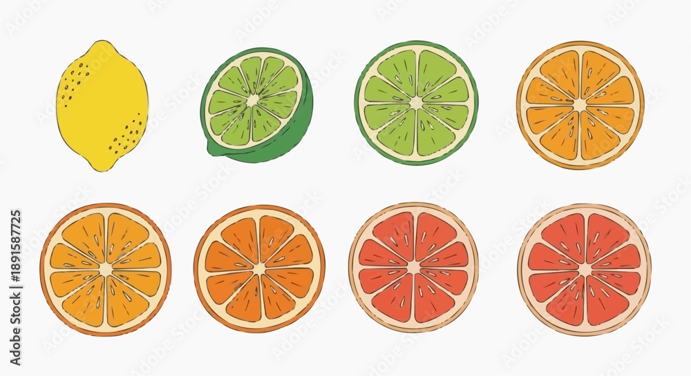 Fototapeta premium Assorted citrus fruits sliced and arranged in a grid pattern on a clean background viewed from directly above showcasing lemon, lime, orange, and grapefruit