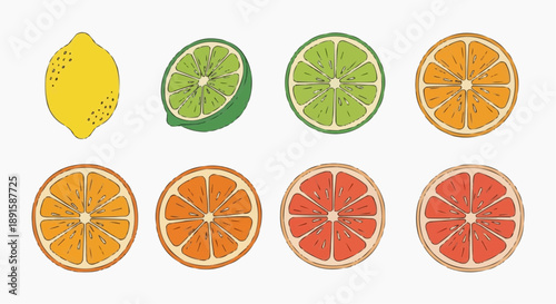 Assorted citrus fruits sliced and arranged in a grid pattern on a clean background viewed from directly above showcasing lemon, lime, orange, and grapefruit
