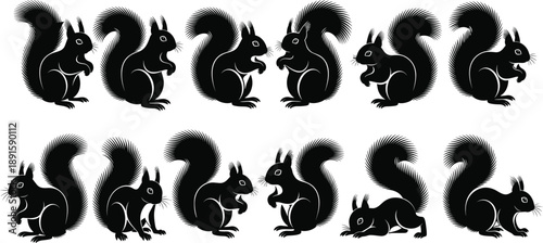 Squirrel silhouettes collection featuring cute woodland animal poses with fluffy tails isolated on white background for nature, wildlife, and cartoon design projects