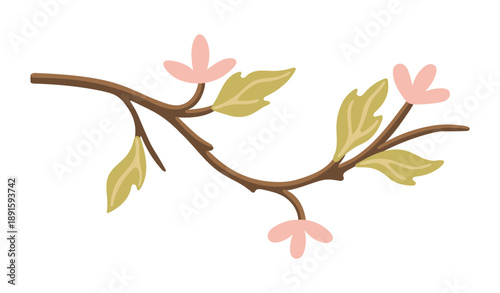 Blooming spring branch with flowers. Botanical illustration. Vector.