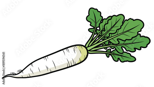 White radish vegetable with fresh green leaves isolated on a white background, perfect for healthy eating and organic food concepts.