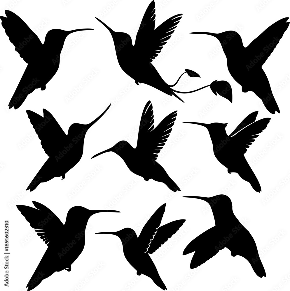 Obraz premium hummingbird-silhouettes.eps