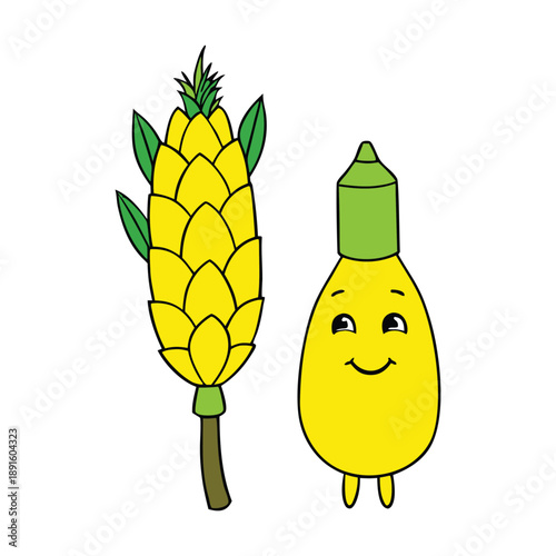 A traditional lulav and etrog set symbolizing unity and faith, featuring palm, myrtle, willow, and citron, used during Sukkot prayers and joyful celebrations.
