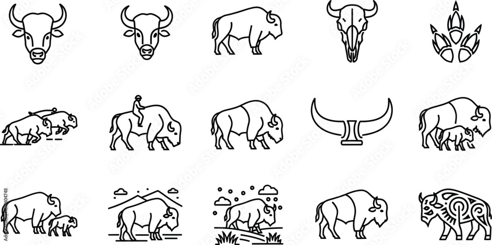 Obraz premium A collection of 12 unique bison illustrations in various poses and perspectives