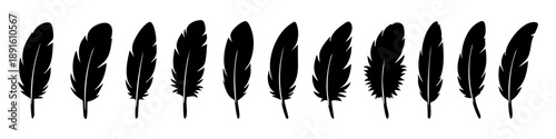 Stylish feather icon set in bold silhouette style. Perfect for design, branding, tattoos, logos, boho themes, and creative projects. Includes black, blue, and light blue color versions