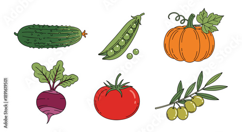 Flat vector vegetable icons including cucumber pumpkin and tomato