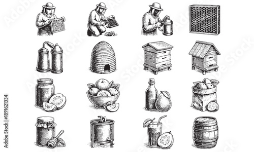 Vintage Beekeeping & Honey Production Tools Illustrations 