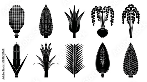 Set of diverse stylized botanical silhouettes and abstract plant shapes. Black vector icons collection on white background.