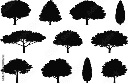 Collection of black tree silhouettes with varied shapes and sizes white background 2