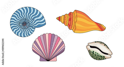 A colorful illustration of four seashells on transparent background
