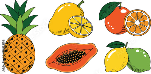 Hand-Drawn Tropical Fruit Vector Set  Pineapple, Mango, Papaya, and Citrus