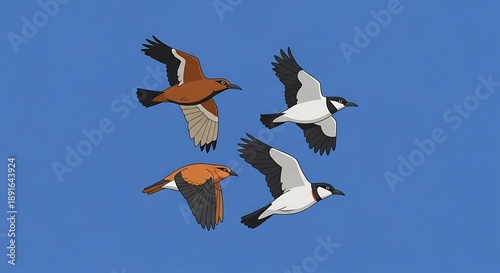 Flock of ducks flying in blue sky.