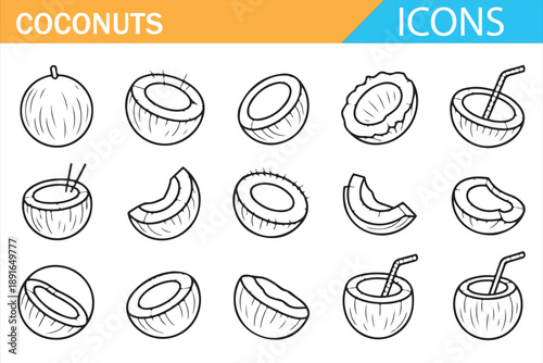 Coconut Fruit Sketch Icons for Organic Food and Nutrition Design