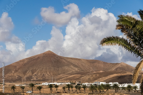 Landscape with palm trees.