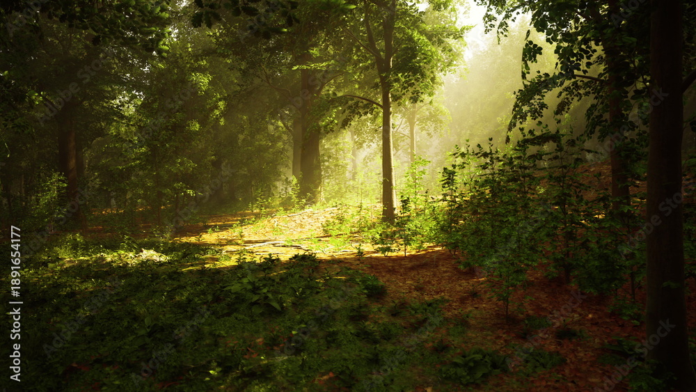 Fototapeta premium Sunlight filters through the dense trees, creating a serene atmosphere in the lush forest. The ground is covered in vibrant greenery, inviting exploration and peaceful reflection.