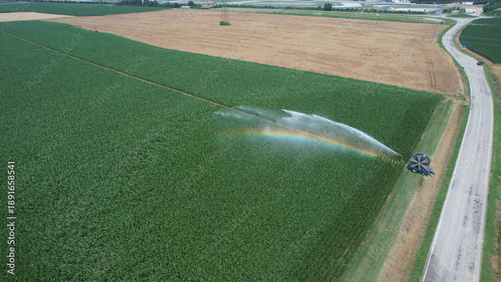 Fototapeta premium Agricultural irrigation system spraying water over a lush green crop field creating a rainbow